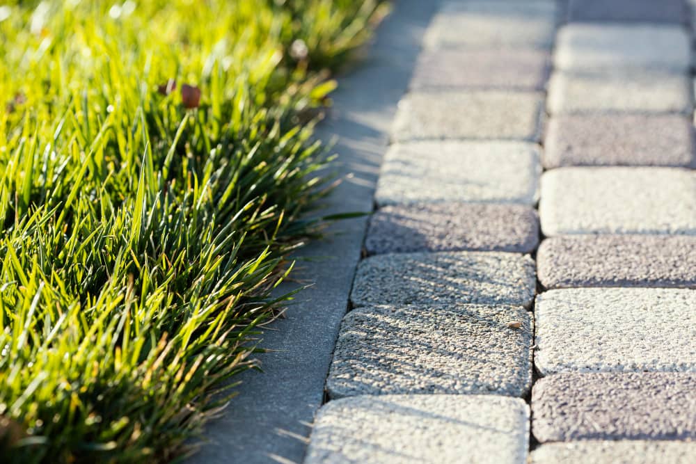 Sunlit border with green grass on the left and cobblestone path on the right—clean, orderly landscape.