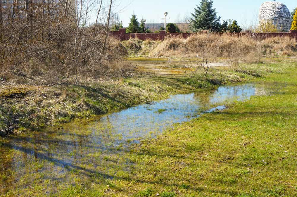 Tranquil scene of a shallow stream flowing through a grassy area, bordered by dry, leafless shrubs.