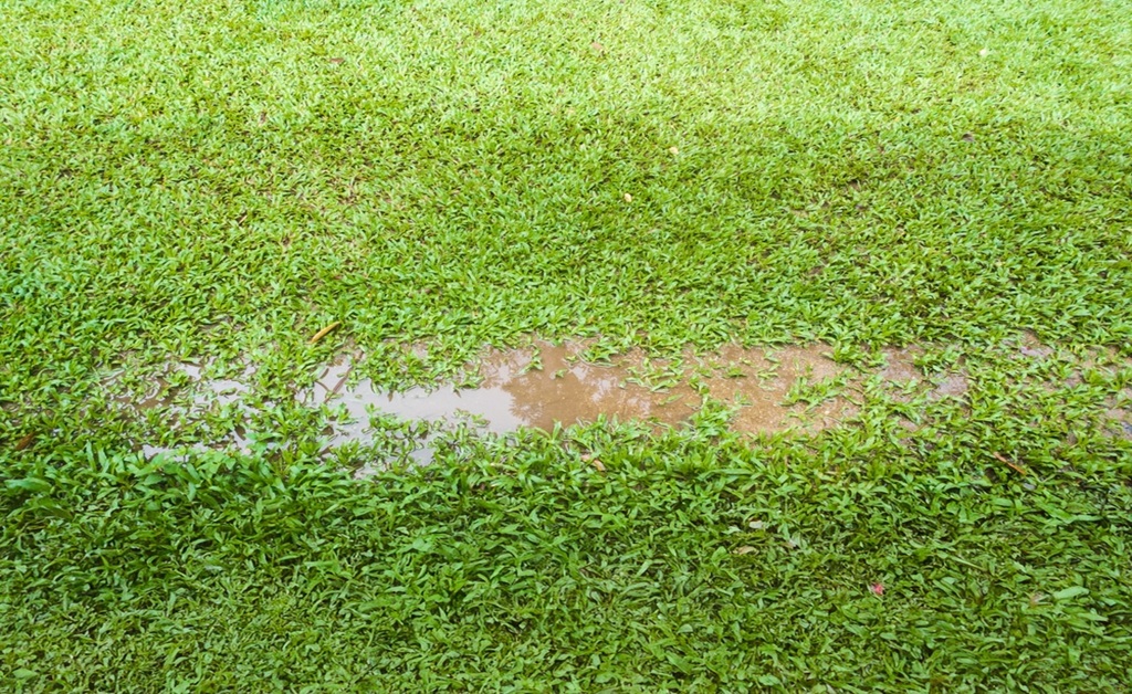 Block Water Drainage From a Neighbor's Yard​